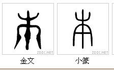 本字的解释本字的解释是什么