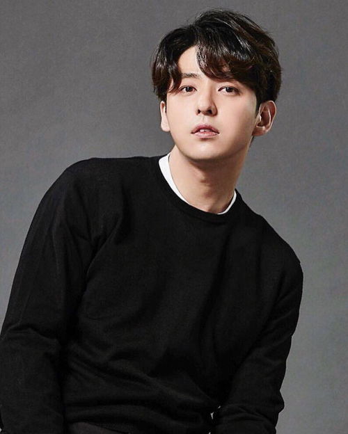 金起范为什么冷藏，金起范ukiss