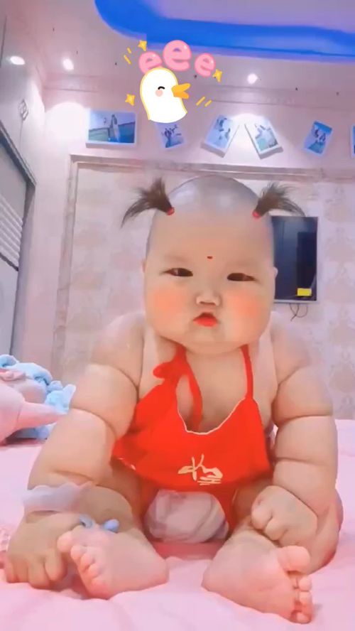 肉嘟嘟的脸，肉嘟嘟的小嘴巴是什么歌