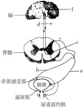 物资充盈的意思，粮草充盈的意思