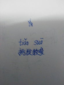 挑唆的意思和拼音，挑唆读音是什么意思是什么
