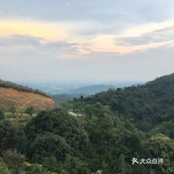 北峰山国家森林公园在哪里，北峰山国家森林公园电话