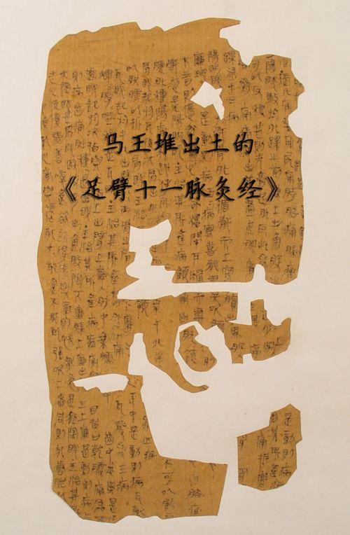 五脏六腑是什么