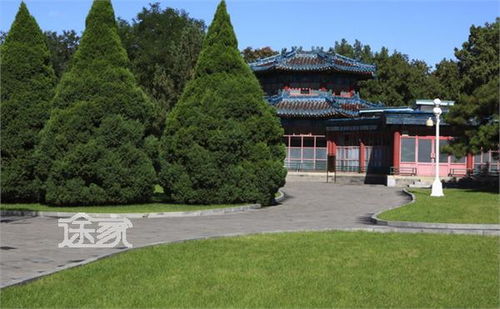 中山公园在哪里
