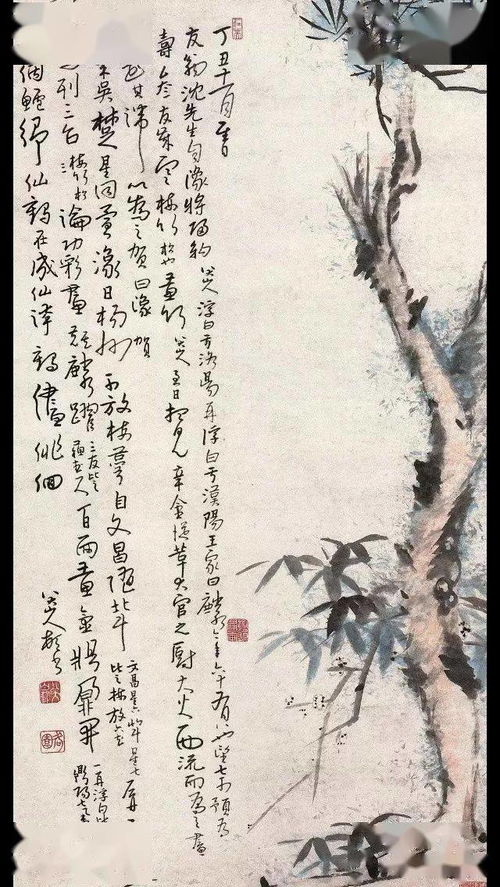 “岁寒三友”指的是什么?