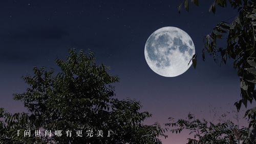 我心明月照大江无奈明月照沟渠，我心向明月,奈何明月照沟渠全诗