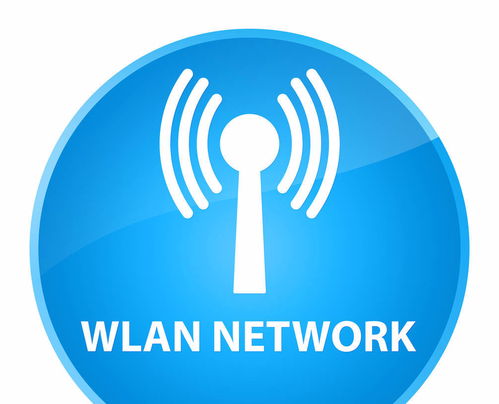 找工作应该去大型公司好还是小公司好?