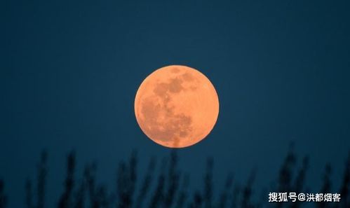 【散文】《故乡的月亮》