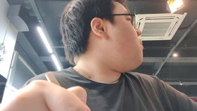 恨晨光之熹微翻译，恨晨光之熹微前一句