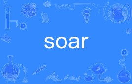 soar什么意思