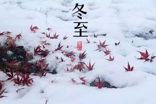 2022年冬至是几月几日星期几