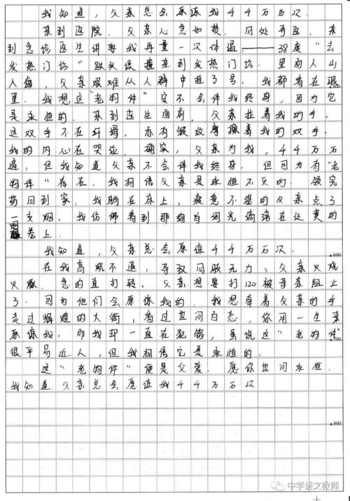 老物件优秀作文，老物件作文800字高中