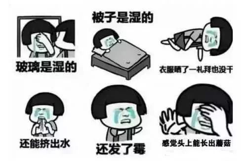 武冈天气预报24小时详情，武冈天气预报7天准确