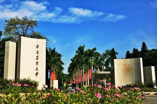 华南农业大学专业目录，华南农业大学专业排名及分数线
