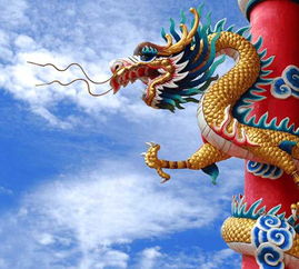 龙组词二年级上册，龙组词组词语有哪些