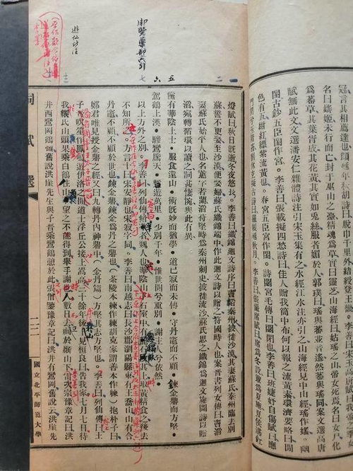 闻道甘泉能献赋,悬知独有子云才什么意思?
