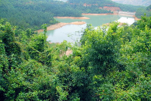 台山市十大旅游景点介绍 台山景点大全景点排名榜