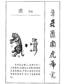 虎这个字怎么读