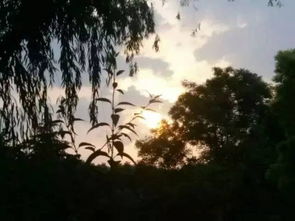 风雨过后不一定有美好的天空,不是天晴就会有彩虹，风雨过后的励志句子