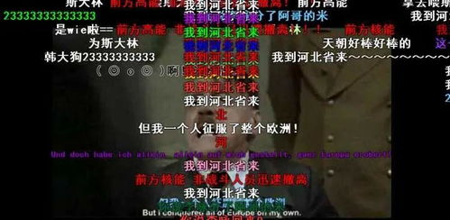 provience是什么意思