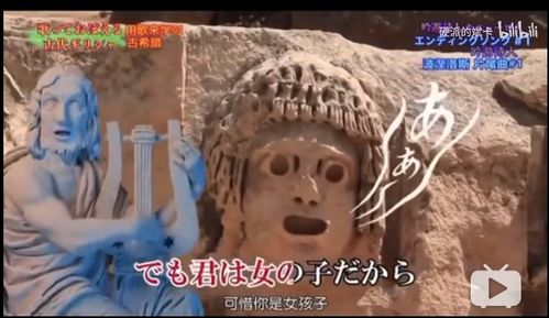 gym的中文是什么?