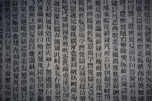 梦到天书是什么意思，读无字天书是什么意思