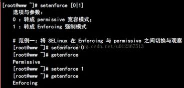 permissive是什么意思