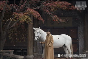皎皎白驹,在彼空谷。生刍一束,其人如玉。