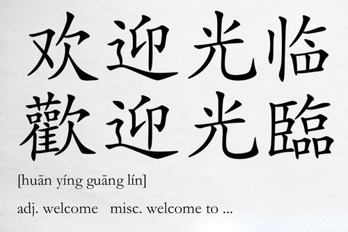 遂的意思古文桃花源记，遂古文释义