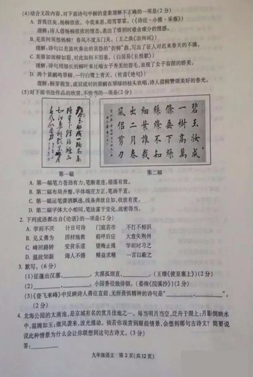 呐喊读后感范文800字