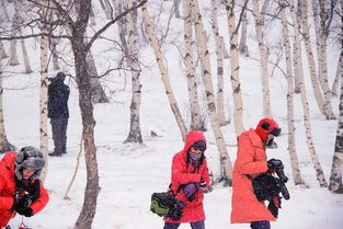 风雪载途的意思，风雪载途技能在哪解