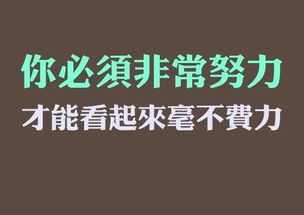 关于努力挣钱的文案