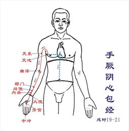 五官是什么