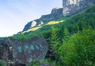 神仙居门票包含什么