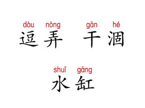 水缸的拼音怎么拼写，缸的拼音怎么写