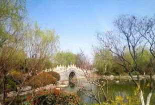 马陵山风景区，马陵山海拔多少米