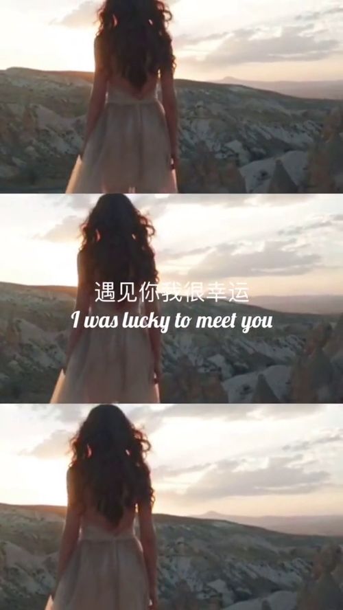 我很幸运作文