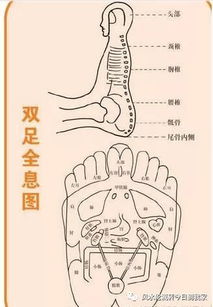 络石，络活喜