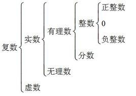 0是实数吗为什么