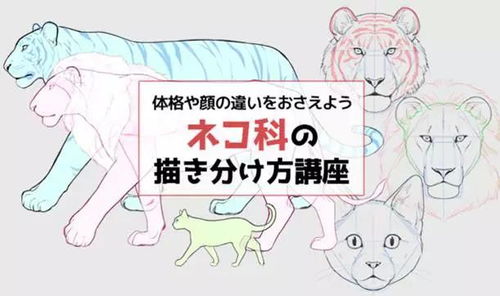 画虎不成反类犬,刻鹄不成反尚鹜，画虎不成君莫笑是什么生肖