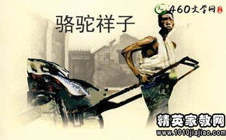 骆驼祥子第二章读后感300字，骆驼祥子第二章读后感500字