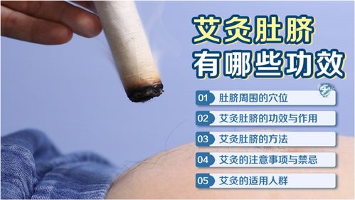 络的意思