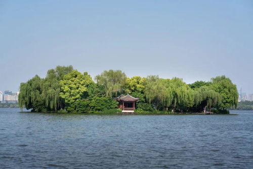 湖心亭旧为湖心寺文言文翻译