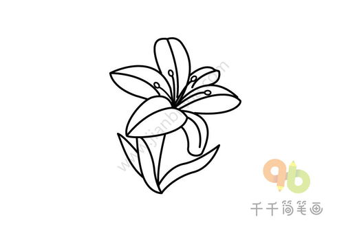 桃花的简笔画怎么画最好看又简单