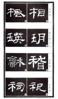 状部首是什么?