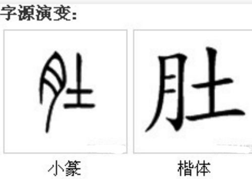肚组词二年级上册，肚组词拼音