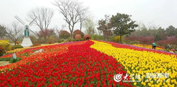 赞美花开满园的诗句