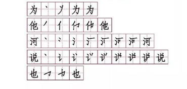 照笔顺组词，照笔顺怎么写的笔顺怎么写