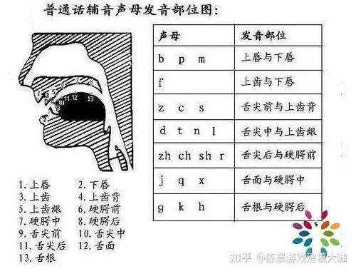 四声歌绕口令带拼音正版，绕口令四声歌拼音视频