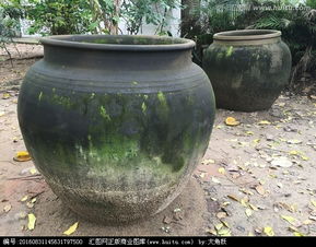 缸组词拼音